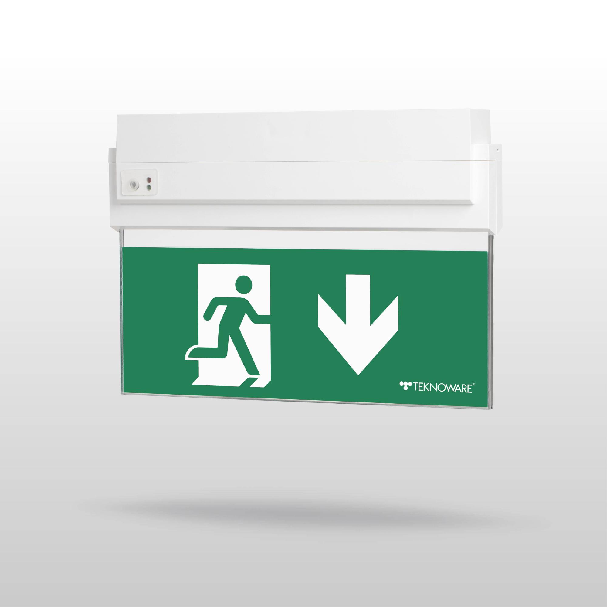 ESC 80 emergency exit light TWS8092WM