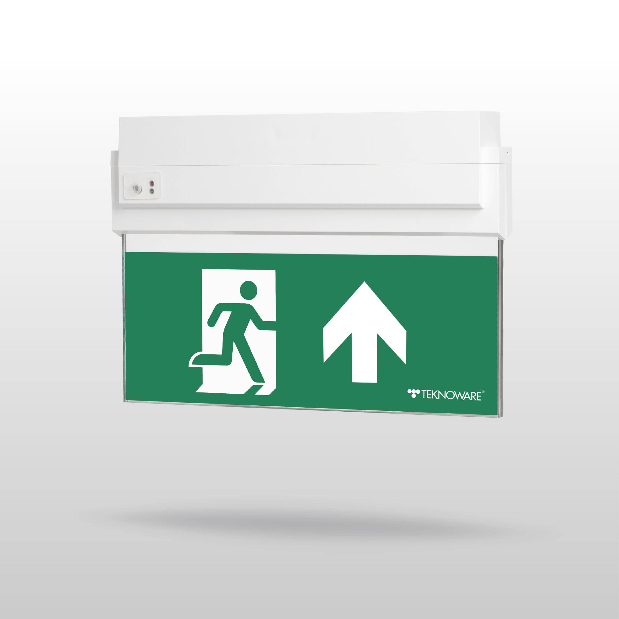 ESC 80 emergency exit light Y8053WA102