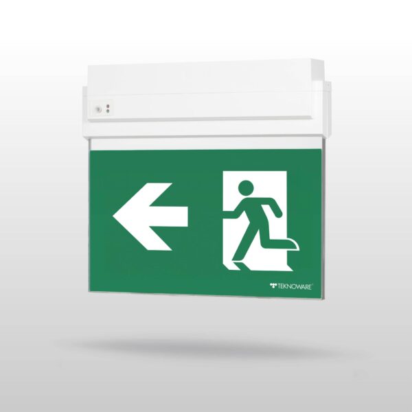 ESC 80 emergency exit light Y8092WM147