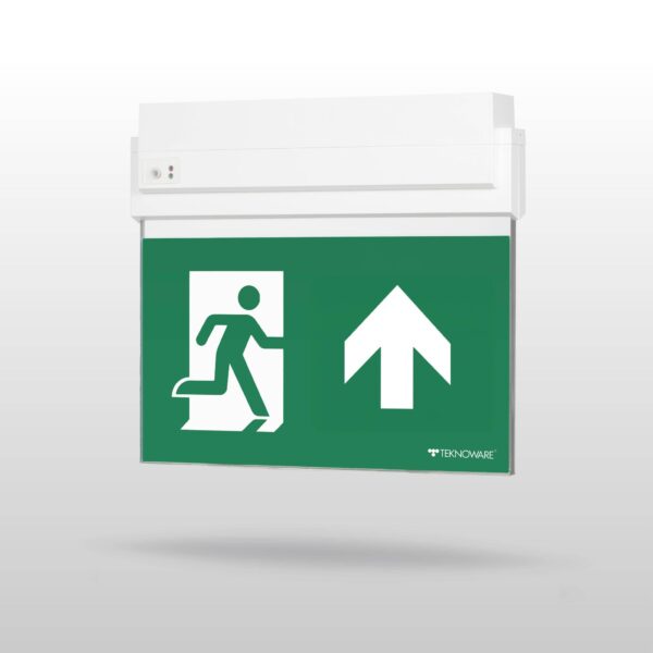 ESC 80 emergency exit light Y8092WM141