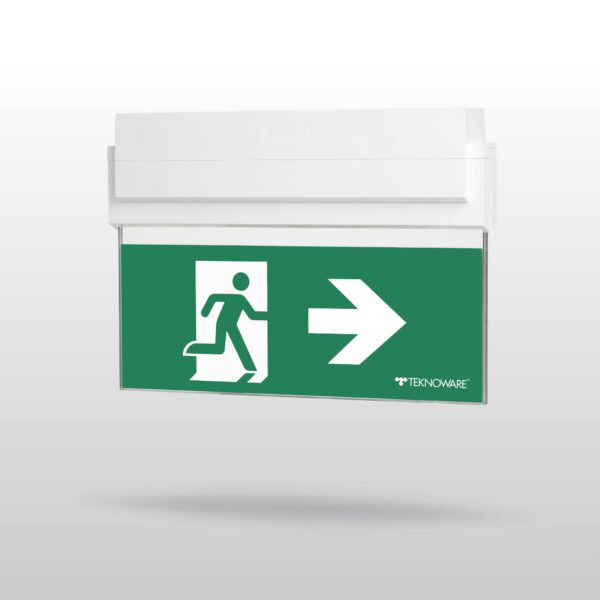 ESC 80 emergency exit light Y8041W103