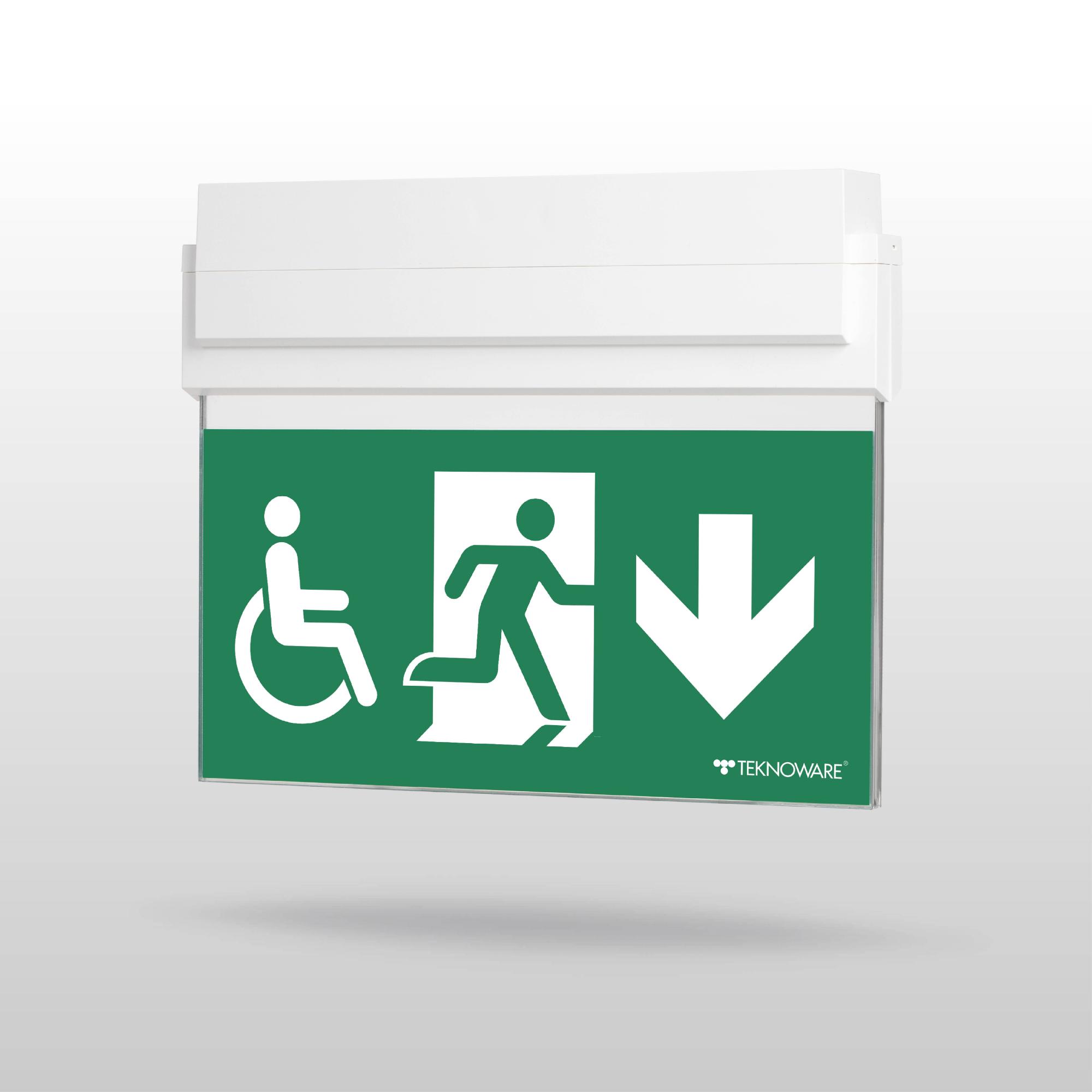 ESC 80 emergency exit light TWT8051WK - Image 4