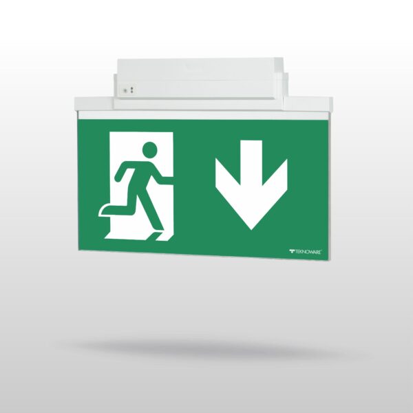 ESC 81 LED Emergency Exit Light Y8192WA159