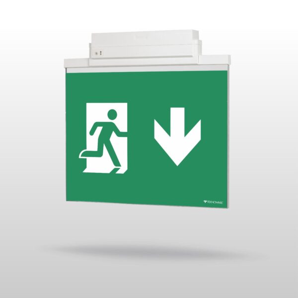 ESC 81 LED Emergency Exit Light Y8153WA165
