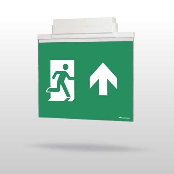 ESC 81 LED Emergency Exit Light Y8141WK162