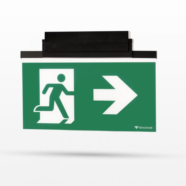 ESC 81 emergency exit light TWT8151WKT