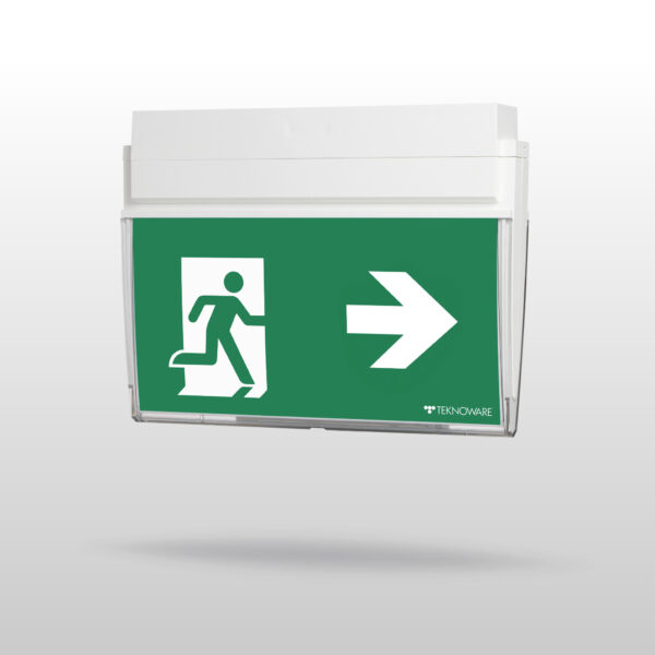 ESC 90 Emergency Exit Light TWS9092WM
