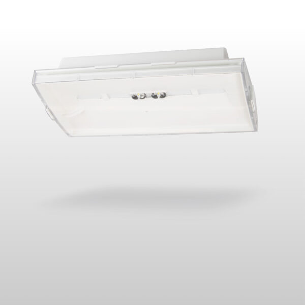 Easy Line Lowbay emergency light TWTB252WA