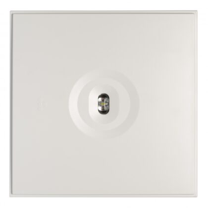 Linespot II Lowbay emergency light TWT9971W