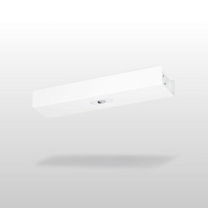 Trail Line Lowbay emergency light TWTC151WK