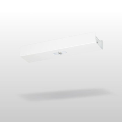 Trail Line Midbay emergency light TWTC453WM