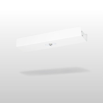 Trail Line Midbay emergency light TWTC471W