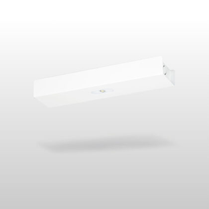 Trail Zone Lowbay emergency light TWTC251WK