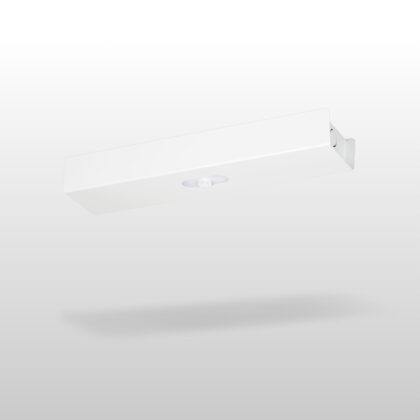 Trail Zone Midbay emergency light TWTC552WA