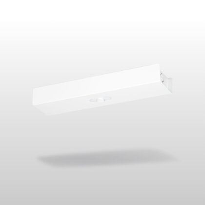 Trail Zone Midbay emergency light TWTC551WK